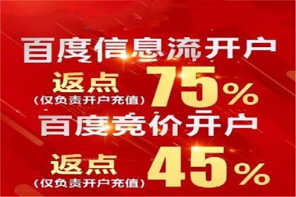 成功案例：sem竞价托管的智慧与策略